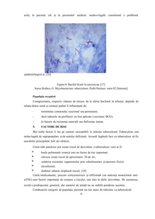 azile, la pacienți cât și la personalul medical, medico-legală constituind o problemă
epidemiologică și. [16]
Figura 8: Bacilul Koch la microscop [17]
Sursa:Kubica G. Mycobacterium tuberculosis Ziehl-Neelsen stain 02 [Internet]
Populația receptivă
Conagiozitatea, respectiv măsura de trecere de la oferta baciliară la infecție, depinde de
relația dintre sursă și contacți puând fi influiențată de:
- intimitatea contactului ocazional sau permanent;
- dacă măsurile de profilaxie au fost aplicate (vaccinare BCG);
- în funcție de rezistența naturală sau deficiențe imune.
5. FACTORI DE RISC
Mai mulți factori îi fac pe oameni susceptibili la infecția tuberculoasă Tuberculoza este
strâns legată de suprapopulare și de nutriția deficitară. Această legătură face ca tuberculoza să fie
una dintre principalele boli ale sărăciei.
Unele stări patoloice pot crește riscul de dezvoltare a tuberculozei cum ar fi:
boala pulmonară cronică este un factor de risc important;
silicoza crește riscul de aproximativ 30 de ori;
scăderea rezisenței organismului prin subalimentare și epuizare fiizică
alcoolismul;
diabetul zaharat (triplează riscul). [18]
Unele medicamente, precum corticosteroizii și infliximab (un anticorp monoclonal anti-
αTNF) sunt factori importanți de creștere a riscului, mai ales în țările dezvoltate. De asemenea,
există o predispoziție genetică, dar oamenii de știință nu au stabilit ponderea acesteia.
Următoarele categorii de populație prezintă un risc mare de infectare cu tuberculoză:
15
 