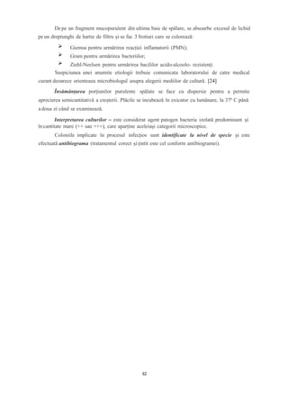 Depe un fragment mucopurulent din ultima baie de spălare, se absoarbe excesul de lichid
pe un dreptunghi de hartie de filtru și se fac 3 frotiuri care se colorează:
Giemsa pentru urmărirea reacției inflamatorii (PMN);
Gram pentru urmărirea bacteriilor;
Ziehl-Neelsen pentru urmărirea bacililor acido-alcoolo- rezistenți.
Suspiciunea unei anumite etiologii trebuie comunicata laboratorului de catre medical
curant deoarece orienteaza microbiologul asupra alegerii mediilor de cultură. [24]
Însămânțarea porțiunilor purulente spălate se face cu dispersie pentru a permite
aprecierea semicantitativă a creșterii. Plăcile se incubează în exicator cu lumânare, la 37º C până
adoua zi când se examinează.
Interpretarea culturilor – este considerat agent patogen bacteria izolată predominant și
în cantitate mare (++ sau +++), care aparține aceleiași categorii microscopice.
Coloniile implicate în procesul infecțios sunt identificate la nivel de specie și este
efectuată antibiograma (tratamentul corect și țintit este cel conform antibiogramei).
62
 