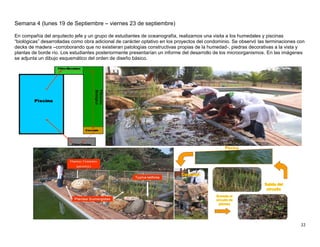 22
Semana 4 (lunes 19 de Septiembre – viernes 23 de septiembre)
En compañía del arquitecto jefe y un grupo de estudiantes de oceanografía, realizamos una visita a los humedales y piscinas
“biológicas” desarrolladas como obra adicional de carácter optativo en los proyectos del condominio. Se observó las terminaciones con
decks de madera –corroborando que no existieran patologías constructivas propias de la humedad-, piedras decorativas a la vista y
plantas de borde río. Los estudiantes posteriormente presentarían un informe del desarrollo de los microorganismos. En las imágenes
se adjunta un dibujo esquemático del orden de diseño básico.
 