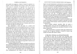 E Drejta e Detyrimeve I