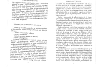 E Drejta e Detyrimeve I