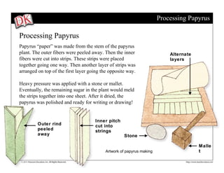 Processing Papyrus
Processing Papyrus
Papyrus “paper” was made from the stem of the papyrus
plant. The outer fibers were p...
