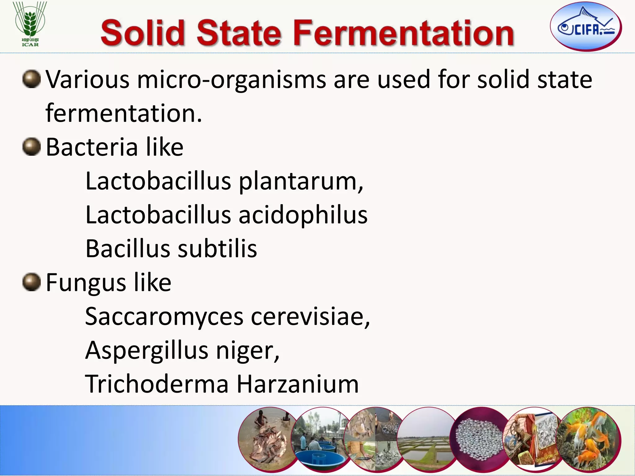 Various micro-organisms are used for solid state
fermentation.
Bacteria like
Lactobacillus plantarum,
Lactobacillus acidophilus
Bacillus subtilis
Fungus like
Saccaromyces cerevisiae,
Aspergillus niger,
Trichoderma Harzanium
 