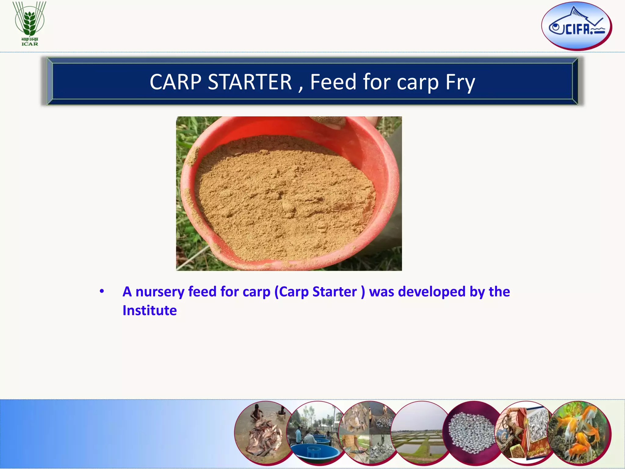 CARP STARTER , Feed for carp Fry
• A nursery feed for carp (Carp Starter ) was developed by the
Institute
 
