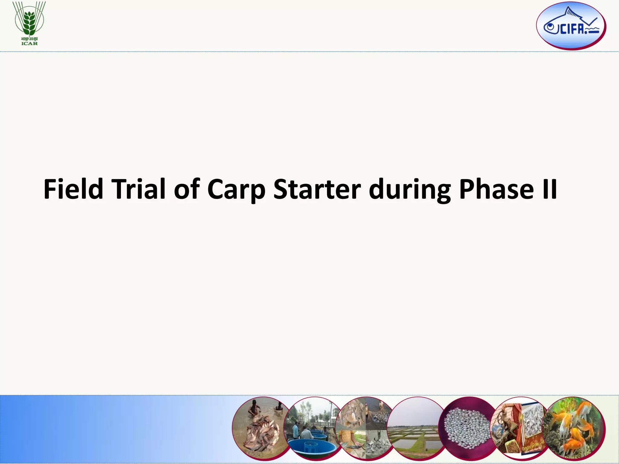 Field Trial of Carp Starter during Phase II
 