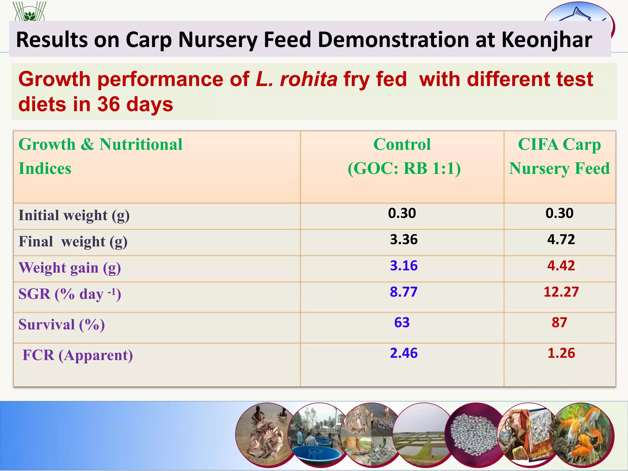 Growth performance of L. rohita fry fed with different test
diets in 36 days
Growth & Nutritional
Indices
Control
(GOC: RB 1:1)
CIFA Carp
Nursery Feed
Initial weight (g) 0.30 0.30
Final weight (g) 3.36 4.72
Weight gain (g) 3.16 4.42
SGR (% day -1) 8.77 12.27
Survival (%) 63 87
FCR (Apparent) 2.46 1.26
Results on Carp Nursery Feed Demonstration at Keonjhar
 