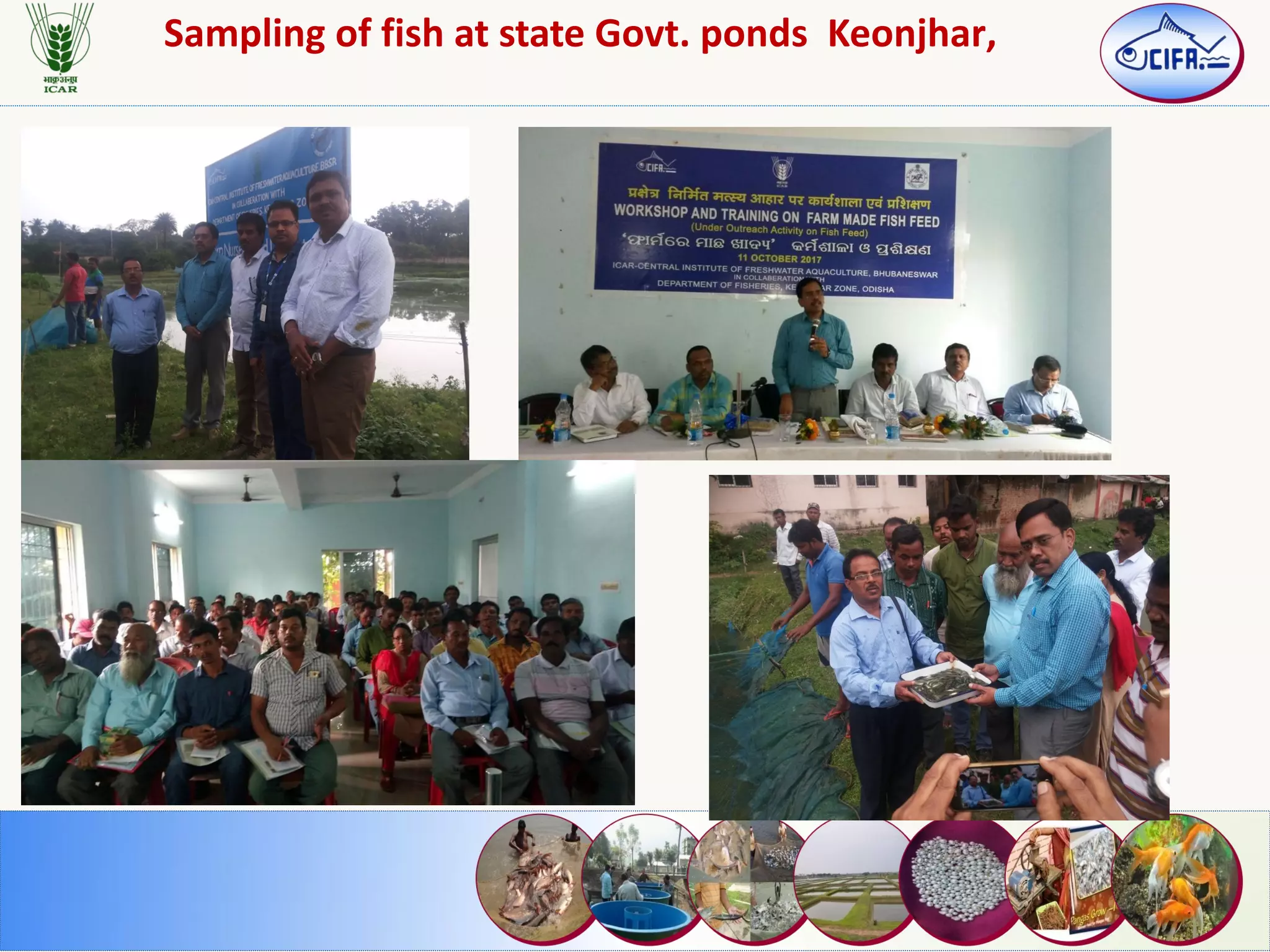 Sampling of fish at state Govt. ponds Keonjhar,
 