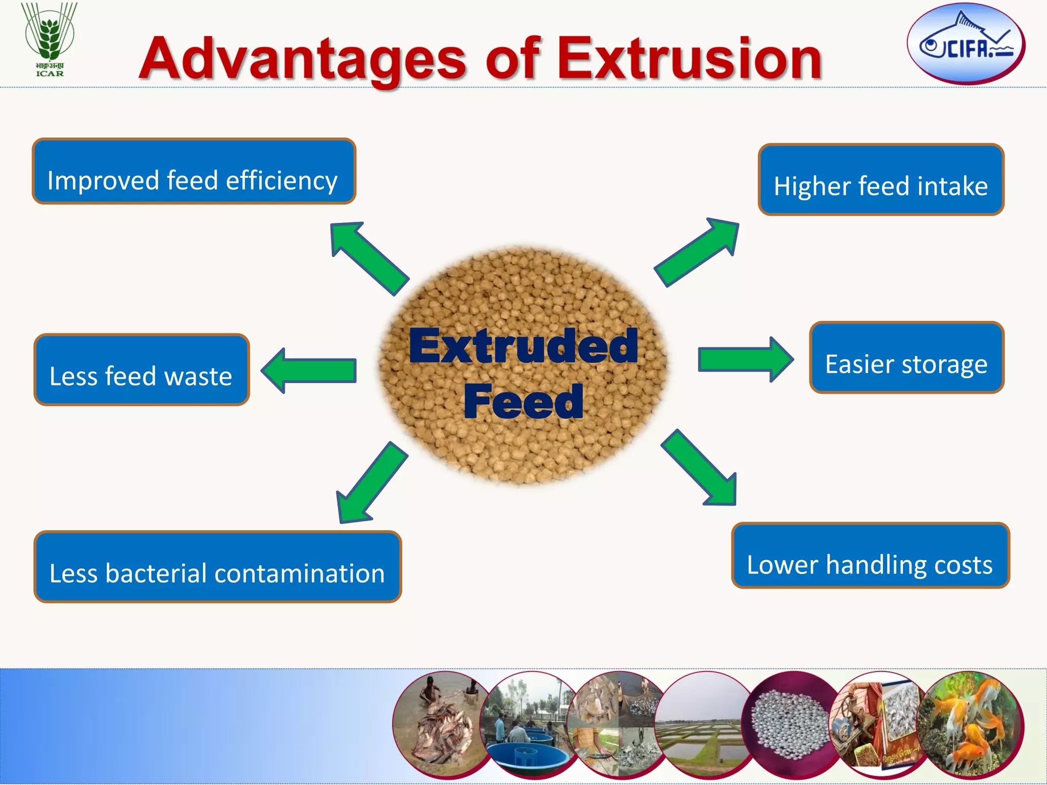 Less feed waste
Higher feed intake
Improved feed efficiency
Lower handling costs
Easier storage
Less bacterial contamination
Extruded
Feed
 