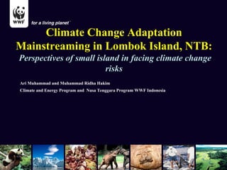 Climate Change Adaptation
Mainstreaming in Lombok Island, NTB:
Perspectives of small island in facing climate change
                         risks
Ari Muhammad and Muhammad Ridha Hakim
Climate and Energy Program and Nusa Tenggara Program WWF Indonesia
 