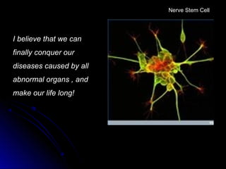 I believe that we can 
finally conquer our 
diseases caused by all 
abnormal organs , and 
make our life long! 
Nerve Stem Cell
 