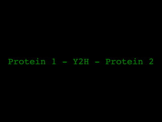 Protein 1 - Y2H - Protein 2
 