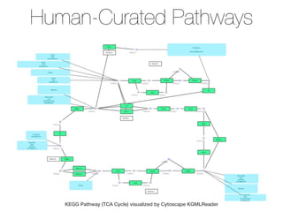 Human-Curated Pathways
KEGG Pathway (TCA Cycle) visualized by Cytoscape KGMLReader
 