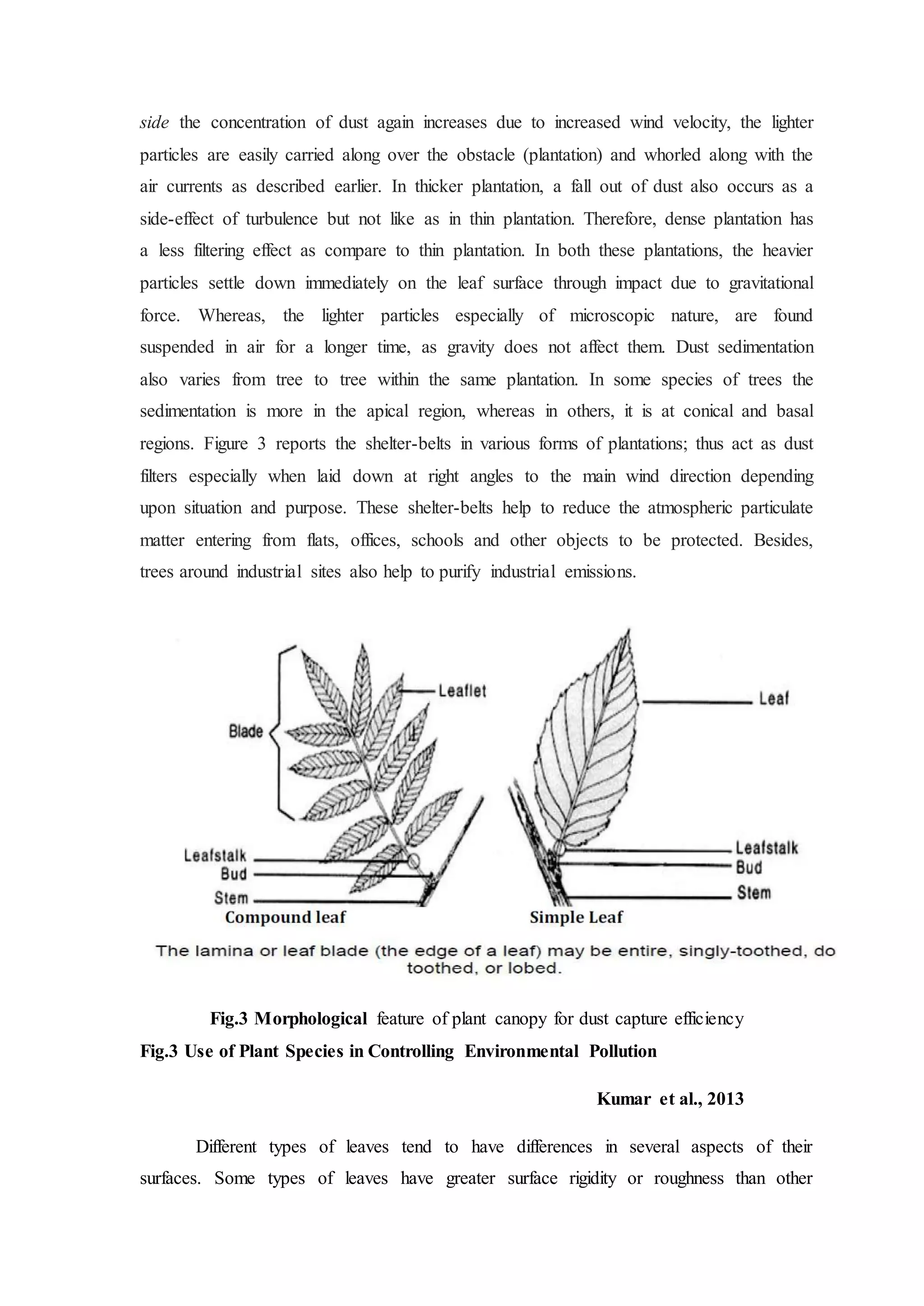 side the concentration of dust again increases due to increased wind velocity, the lighter
particles are easily carried along over the obstacle (plantation) and whorled along with the
air currents as described earlier. In thicker plantation, a fall out of dust also occurs as a
side-effect of turbulence but not like as in thin plantation. Therefore, dense plantation has
a less filtering effect as compare to thin plantation. In both these plantations, the heavier
particles settle down immediately on the leaf surface through impact due to gravitational
force. Whereas, the lighter particles especially of microscopic nature, are found
suspended in air for a longer time, as gravity does not affect them. Dust sedimentation
also varies from tree to tree within the same plantation. In some species of trees the
sedimentation is more in the apical region, whereas in others, it is at conical and basal
regions. Figure 3 reports the shelter-belts in various forms of plantations; thus act as dust
filters especially when laid down at right angles to the main wind direction depending
upon situation and purpose. These shelter-belts help to reduce the atmospheric particulate
matter entering from flats, offices, schools and other objects to be protected. Besides,
trees around industrial sites also help to purify industrial emissions.
Fig.3 Morphological feature of plant canopy for dust capture efficiency
Fig.3 Use of Plant Species in Controlling Environmental Pollution
Kumar et al., 2013
Different types of leaves tend to have differences in several aspects of their
surfaces. Some types of leaves have greater surface rigidity or roughness than other
 
