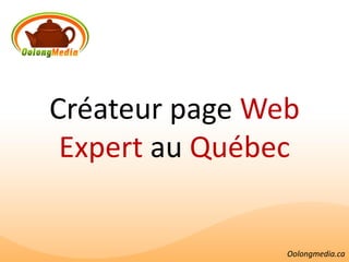 Créateur page Web
 Expert au Québec


                Oolongmedia.ca
 