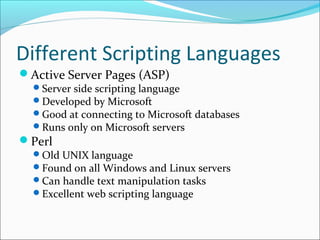 Microsoft Scripting Languages