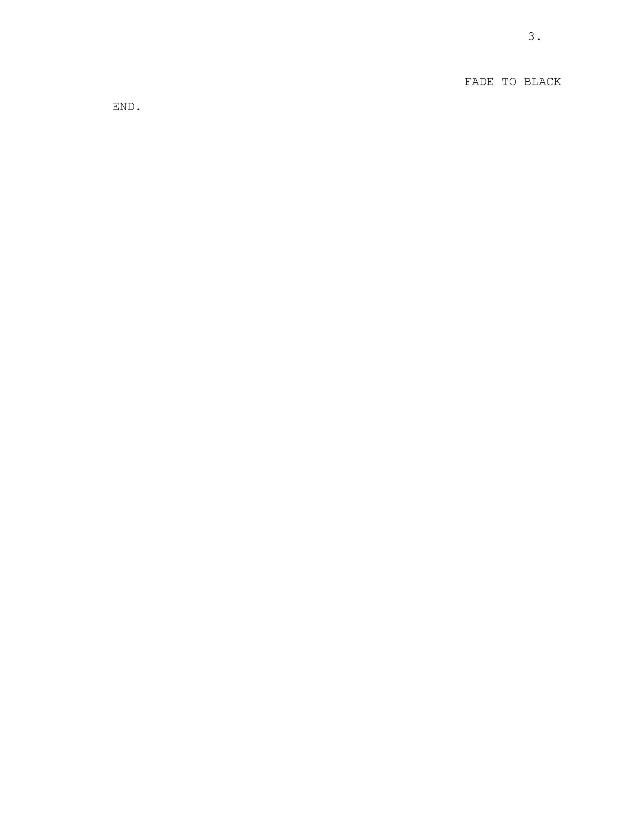 3.
FADE TO BLACK
END.
 