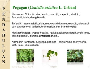 P   Pegagan (Centella asiatica L. Urban)
E   Komponen fitokimia: triterpenoid, steroid, saponin, alkaloid,
    flavonoid, tanin, dan glikosida.
N
    Zat aktif : asam asiatikosida, medekasid dan medekasoid, sitosterol
D   dan stigmasterol, vallerin, brahmosida, dan brahminosida
A
    Manfaat/khasiat: wound healing, revitalisasi aliran darah, brain tonic,
H   efek hipotensif, diuretik, antioksidan,dll...

U   Nama lain : antanan, peggaga, kori-kori, Indian/Asian pennyworth,
    Gotu kola , kos-tekosan
L
U
A
N
    Seminar Skripsi Ganes Tiara W     12/4/2012                          3
 