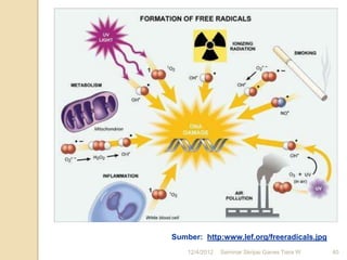Sumber: http:www.lef.org/freeradicals.jpg
    12/4/2012   Seminar Skripsi Ganes Tiara W   40
 