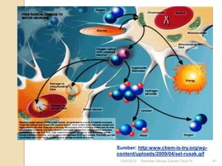 Sumber: http:www.chem-is-try.org/wp-
content/uploads/2009/04/sel-rusak.gif
 12/4/2012   Seminar Skripsi Ganes Tiara W   41
 