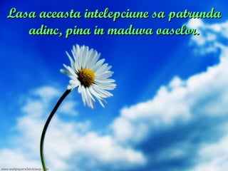 Lasa aceasta intelepciune sa patrunda adinc, pina in maduva oaselor. 