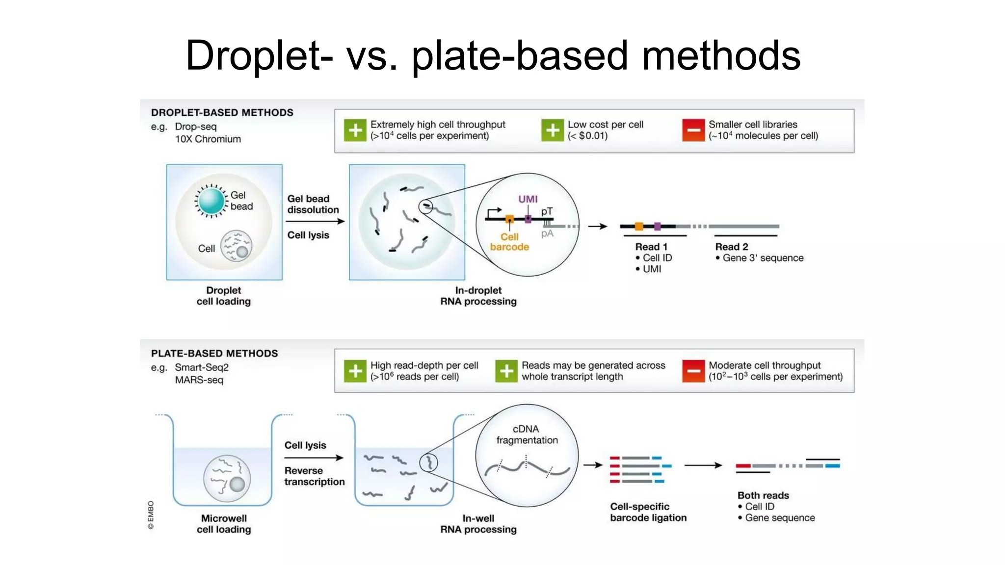 Droplet- vs. plate-based methods
 