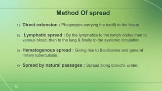 Scrofuloderma Presentation Scrofuloderma semi final-1.pptx