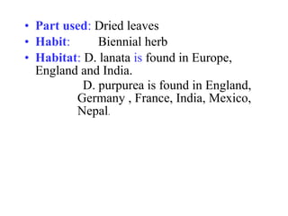 • Part used: Dried leaves
• Habit: Biennial herb
• Habitat: D. lanata is found in Europe,
England and India.
D. purpurea is found in England,
Germany , France, India, Mexico,
Nepal.
 