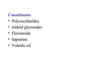 Constituents
• Polysaccharides
• Iridoid glycosides
• Flavonoids
• Saponins
• Volatile oil
 