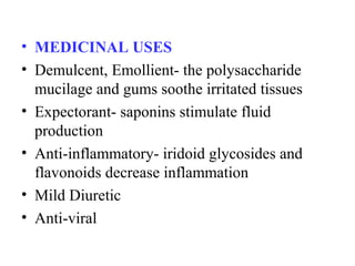 • MEDICINAL USES
• Demulcent, Emollient- the polysaccharide
mucilage and gums soothe irritated tissues
• Expectorant- saponins stimulate fluid
production
• Anti-inflammatory- iridoid glycosides and
flavonoids decrease inflammation
• Mild Diuretic
• Anti-viral
 