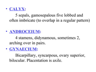 • CALYX:
5 sepals, gamosepalous five lobbed and
often imbricate (to overlap in a regular pattern)
• ANDROCEIUM:
4 stamens, didynamous, sometimes 2,
arching over in pairs.
• GYNAECIUM:
Bicarpillary, syncarpous, ovary superior,
bilocular. Placentation is axile.
 