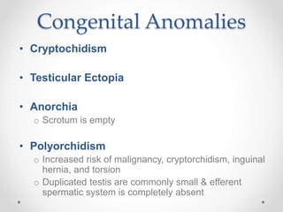 Scrotal 2013.ppt