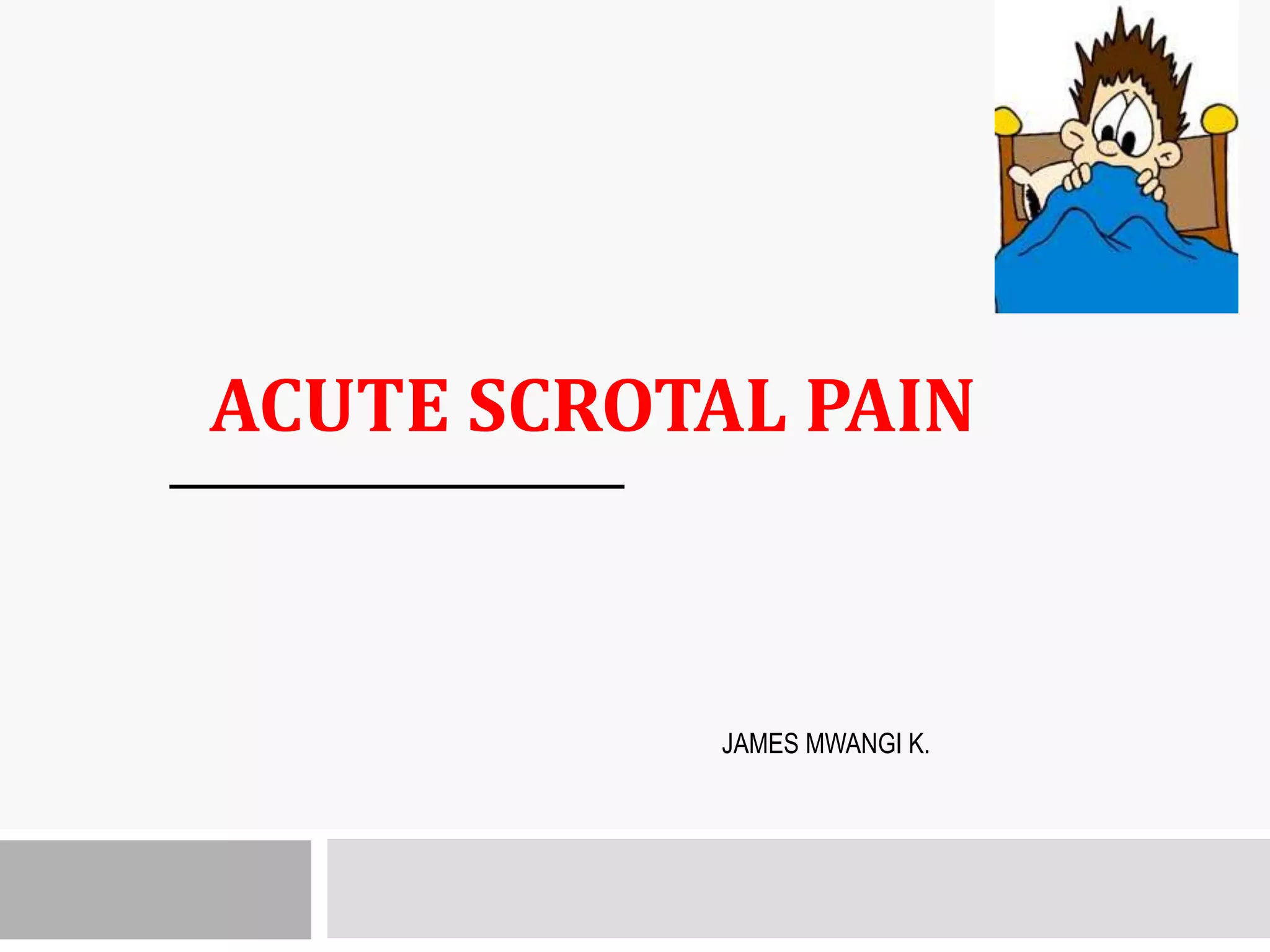 scrotal conditions .pptx