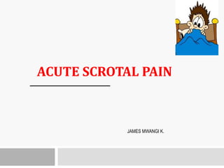 ACUTE SCROTAL PAIN
JAMES MWANGI K.
 