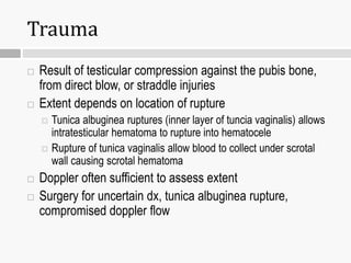 Trauma
 Result of testicular compression against the pubis bone,
from direct blow, or straddle injuries
 Extent depends on location of rupture
 Tunica albuginea ruptures (inner layer of tuncia vaginalis) allows
intratesticular hematoma to rupture into hematocele
 Rupture of tunica vaginalis allow blood to collect under scrotal
wall causing scrotal hematoma
 Doppler often sufficient to assess extent
 Surgery for uncertain dx, tunica albuginea rupture,
compromised doppler flow
 