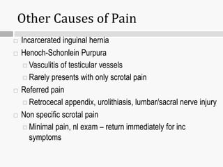 Other Causes of Pain
 Incarcerated inguinal hernia
 Henoch-Schonlein Purpura
 Vasculitis of testicular vessels
 Rarely presents with only scrotal pain
 Referred pain
 Retrocecal appendix, urolithiasis, lumbar/sacral nerve injury
 Non specific scrotal pain
 Minimal pain, nl exam – return immediately for inc
symptoms
 