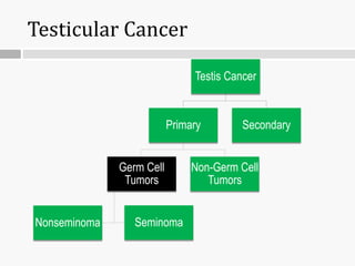 Testicular Cancer
Testis Cancer
Primary
Germ Cell
Tumors
Seminoma
Nonseminoma
Non-Germ Cell
Tumors
Secondary
 