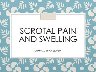 SCROTAL PAIN
AND SWELLING
COMPILED BY A.MUSONDA
 