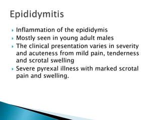  Inflammation of the epididymis
 Mostly seen in young adult males
 The clinical presentation varies in severity
and acuteness from mild pain, tenderness
and scrotal swelling
 Severe pyrexal illness with marked scrotal
pain and swelling.
 