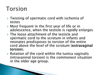 Twisting of spermatic cord with ischemia of
testes
 Most frequent in the first year of life or in
adolescence, when the testicle is rapidly enlarges
 The loose attachment of the testicle and
spermatic cord to the scrotum in infants and
neonates predisposes to torsion of the entire
cord above the level of the scrotum (extravaginal
torsion).
 Rotation of the cord within the tunica vaginalis
(intravaninal torsion) is the commonest situation
in the older age group.
 
