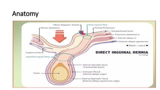Scrotal Ridge scrotal swelling common causes of scrotal | PPTX