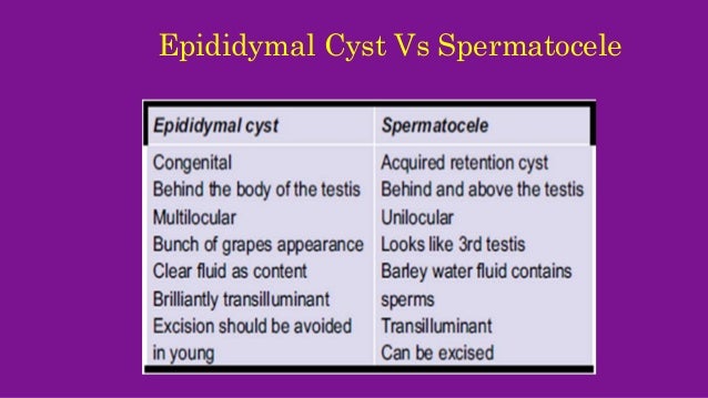 Scrotal swellings 3- Epididymal cyst