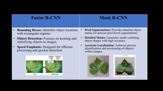 A Robust Deep Learning Model for Tomato Plant Leaf Disease Localization ...