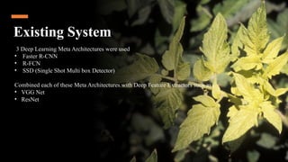 A Robust Deep Learning Model for Tomato Plant Leaf Disease Localization ...