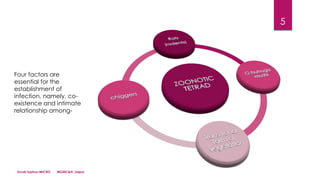 Scrub typhus-MICRO MGMC&H, Jaipur
5
Four factors are
essential for the
establishment of
infection, namely, co-
existence and intimate
relationship among-
 