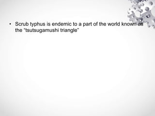 • Scrub typhus is endemic to a part of the world known as
the “tsutsugamushi triangle”
 