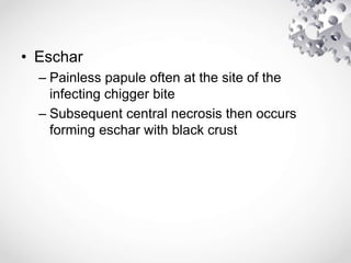 • Eschar
– Painless papule often at the site of the
infecting chigger bite
– Subsequent central necrosis then occurs
forming eschar with black crust
 