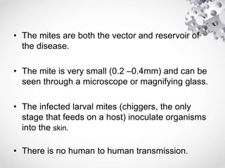 • The mites are both the vector and reservoir of
the disease.
• The mite is very small (0.2 –0.4mm) and can be
seen through a microscope or magnifying glass.
• The infected larval mites (chiggers, the only
stage that feeds on a host) inoculate organisms
into the skin.
• There is no human to human transmission.
 