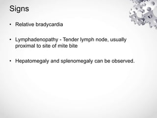 Signs
• Relative bradycardia
• Lymphadenopathy - Tender lymph node, usually
proximal to site of mite bite
• Hepatomegaly and splenomegaly can be observed.
 