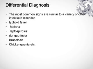 Differential Diagnosis
• The most common signs are similar to a variety of other
infectious diseases
• typhoid fever
• Malaria
• leptospirosis
• dengue fever
• Brucelosis
• Chickenguenia etc.
 