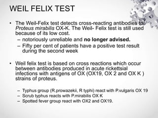 WEIL FELIX TEST
• The Weil-Felix test detects cross-reacting antibodies to
Proteus mirabilis OX-K. The Weil- Felix test is still used
because of its low cost.
– notoriously unreliable and no longer advised.
– Fifty per cent of patients have a positive test result
during the second week
• Weil felix test is based on cross reactions which occur
between antibodies produced in acute rickettsial
infections with antigens of OX (OX19, OX 2 and OX K )
strains of proteus.
– Typhus group (R.prowazekii, R typhi) react with P.vulgaris OX 19
– Scrub typhus reacts with P.mirabilis OX K
– Spotted fever group react with OX2 and OX19.
 